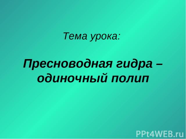 Кракен упал